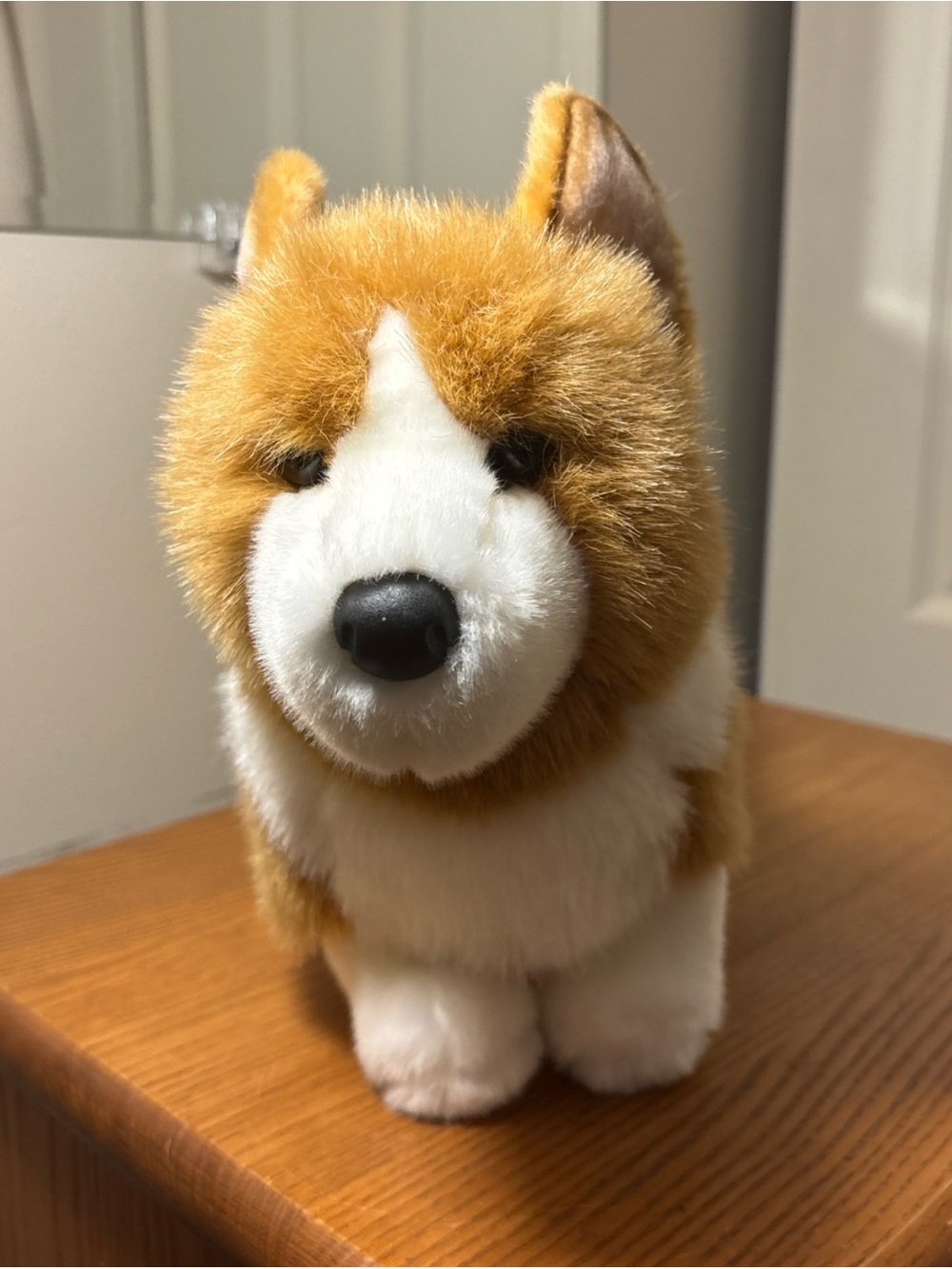 Plush Corgi Dog Toy - White & Brown Soft Pet Plush
